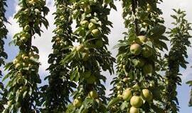 Pats geriausias laikas yra dabar