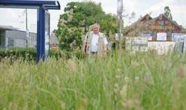 Džiunglių gyventojai klerkams neįdomūs