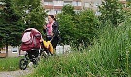 Džiunglių gyventojai klerkams neįdomūs