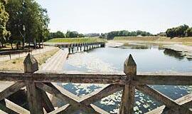 Vargšas Jono kalnelis