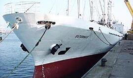 Išlaisvinimo versija: be išpirkos