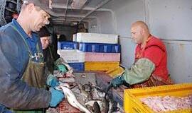 Miesto centre pakvips šviežia žuvimi