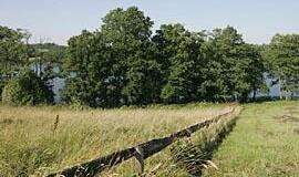 Užsieniečiai paveldėtą žemę privalo parduoti