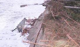 Mokslininkų išvada - prieš vėją nepapūsi