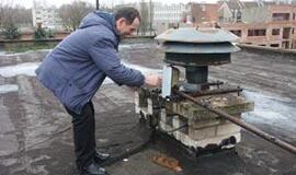 Nekaukė tik viena sirena