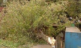 "Leiskite patiems tvarkytis mieste" 