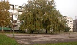 Nerandama problemos sprendimo būdų