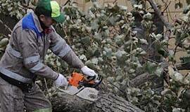 Vėjas "išpūtė" dešimtis tūkstančių litų