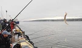 Šalies vyrus suviliojo stintos