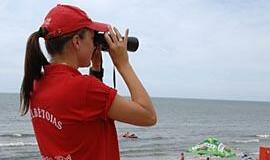 Ne tik gelbės, bet ir baus