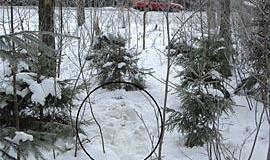 Kam sužalotas gyvūnas, kam mėsos gabalas