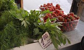 Lietuvoje krapai neauga? 