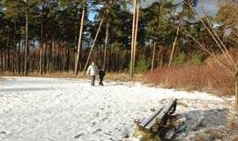 Aplinkai tvarkyti pinigų yra