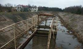 Kopgalio oazei - žalia šviesa