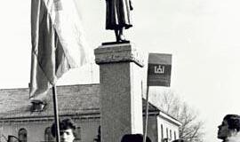 Taravos Anikės paslaptys