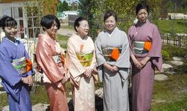 Į japonišką sodą rinkosi orientalistai