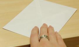 Seimūnas: vietoj nekilnojamojo turto valdžia galėtų apmokestinti kyšius