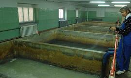 Europos milijonai stringa teismuose