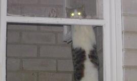 Socialiniuose būstuose tiksi “laikrodukai”