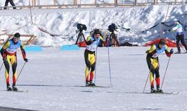 Lietuvių pasirodymas Vankuverio žaidynėse įvertintas patenkinamai