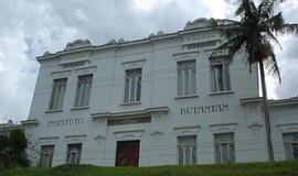 Brazilijoje ugnis sunaikino visame pasaulyje garsią gyvačių kolekciją