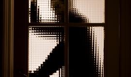 Namų tvarkytoja, įtariama, pasisavino prabangius šeimininkės daiktus