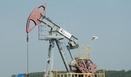 Lenkų "Lotos" nusitaikė į 58 proc. "Geonaftos" akcijų