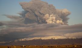 Apsukruoliai internete parduoda Islandijos ugnikalnio pelenus