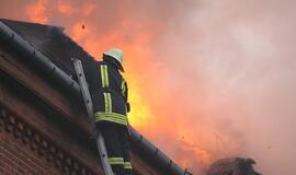 Institucijų reitingus aukštyn traukia ugniagesiai, žemyn - Seimas