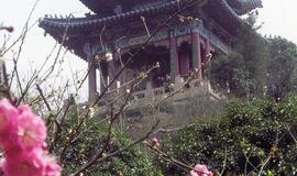 Pavasaris Kinijoje (2)