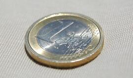 Ekspertas: Lietuvai, Estijai ir Bulgarijai neverta skubėti įsivesti eurą