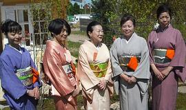 Gyvenimo meno pamokos japonų sode