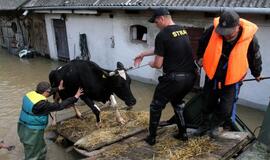 Lenkijos upės vėl išsiliejo iš krantų