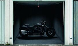 Vokiečiai siūlo originalų garažo vartų apipavidalinimą