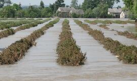 Lenkijos upės vėl išsiliejo iš krantų