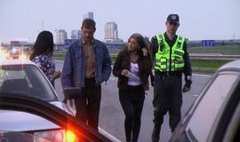 Kelyje Klaipėda-Palanga mašinos užmušė briedžių porelę