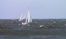 Šeštadienį Klaipėdoje startavo tarptautinė regata