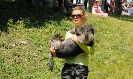 Totorių šventė - Sabantujus