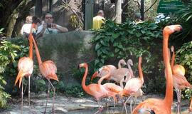 Šiaurės Amerikos pakrantė