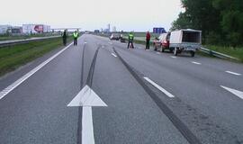 Kelyje Klaipėda-Palanga mašinos užmušė briedžių porelę