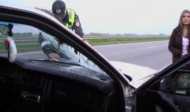 Kelyje Klaipėda-Palanga mašinos užmušė briedžių porelę