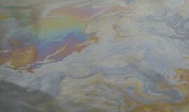 Alantos upelyje - įtartinos dėmės