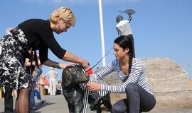 Berniukas su šuneliu pasipuoš Jūros šventei