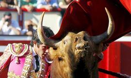 Bridžit Bardo sveikina koridos uždraudimą Katalonijoje