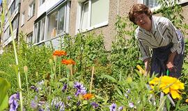 Meilė gamtai gali sukiršinti kaimynus