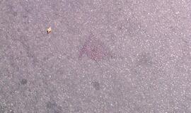 Mergina partrenkta pėsčiųjų perėjoje