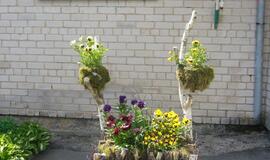 Gražiausia Klaipėdos  rajone - Judrėnų mokykla