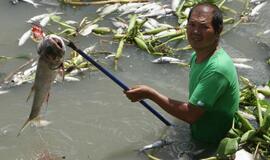 Filipinuose šėlo taifūnas