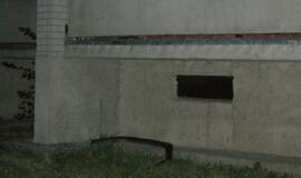 Kalnupės gatvėje naktį rastas smauglys