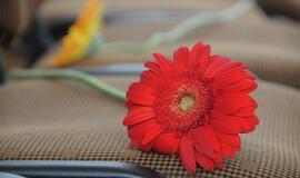 Klaipėdos valstybinės kolegijos absolventams įteikti diplomai